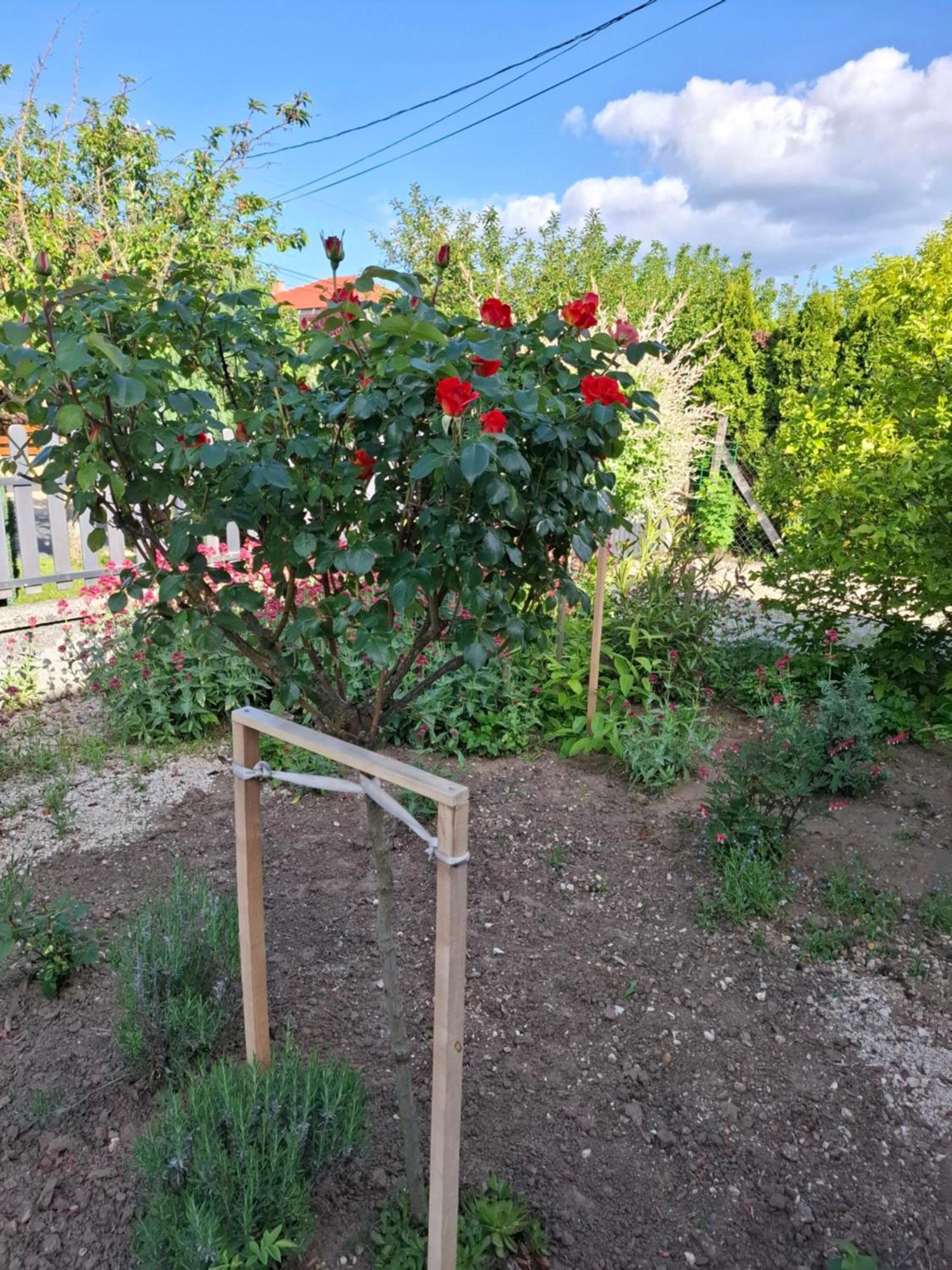 Márti Vendégház Hegykő Esterno foto